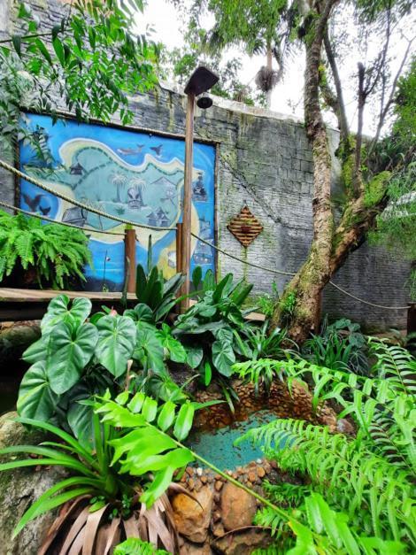 Pousada Piratas do Embaú Guarda do Embaú Exterior foto